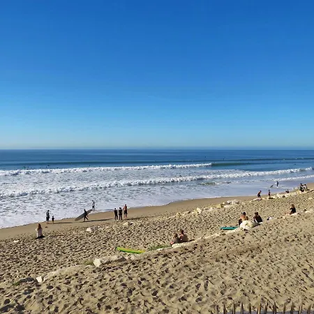 Ferienhaus Holiday Home Les Palombes-8 By Interhome Lacanau